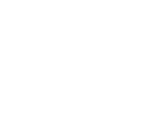 Logo de P&P Electrónica Automotriz