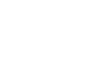 Logo de OK buses