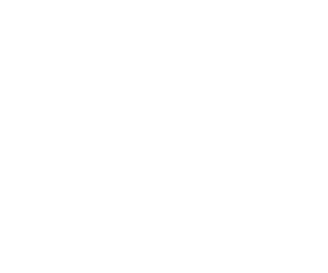 Logo de P&P Performance