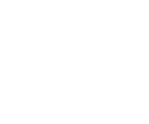 Logo de SPC Store